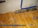 full-REMODELING_28289729.jpg