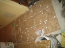 full-REMODELING_28456429.JPG