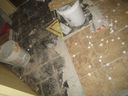 full-REMODELING_28456829.JPG