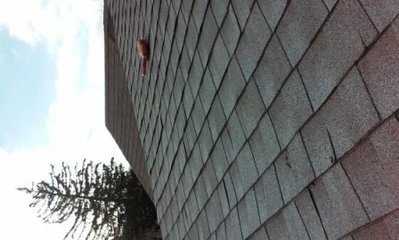 ROOFREPAIR_282029.jpg