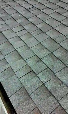 ROOFREPAIR_282929.jpg