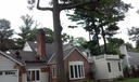 ROOF_283529.jpg