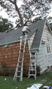 ROOF_286129.jpg