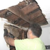 full-REMODELING_28716429.JPG