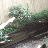 full-REMODELING_28716929.JPG